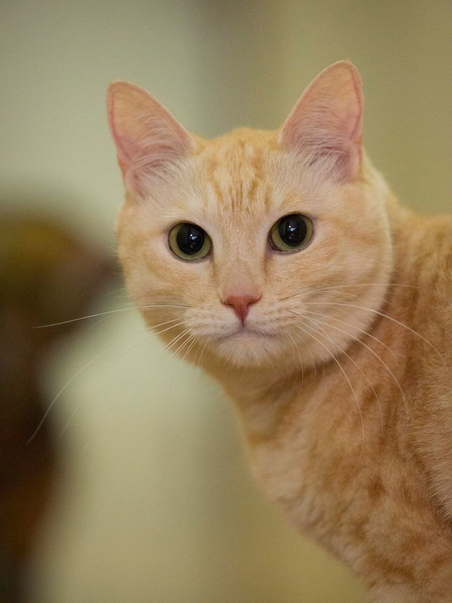 撮影／小森正孝