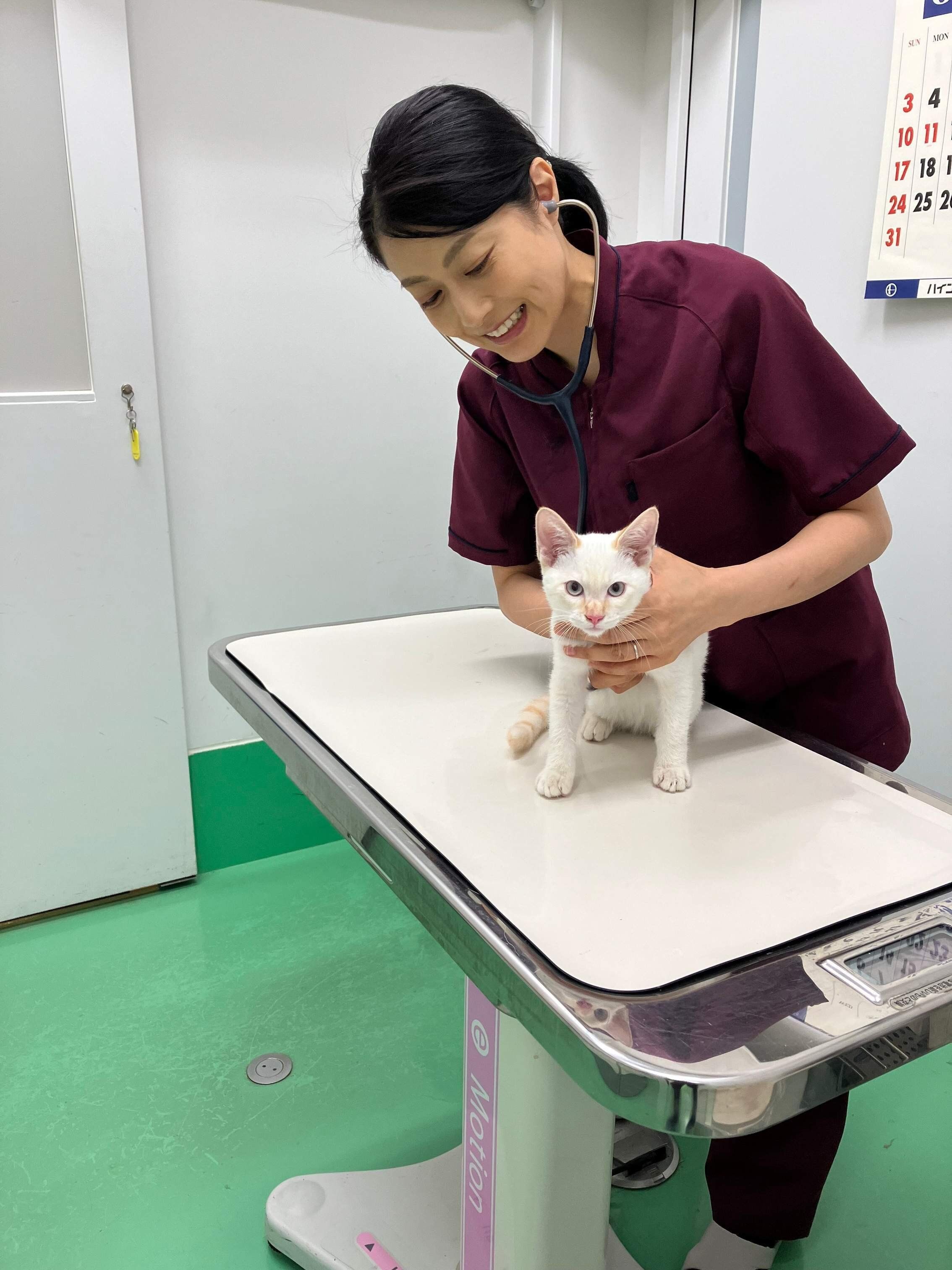 写真提供／新潟市動物愛護センター