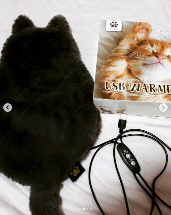 にゃんこぬくぬくブランケット