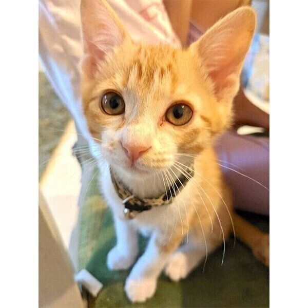 見つめる大豆くん