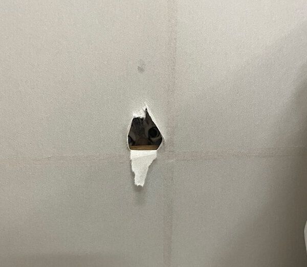 穴から覗くちゃぼくん