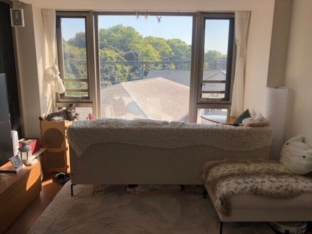 ねこのきもち2021年9月号