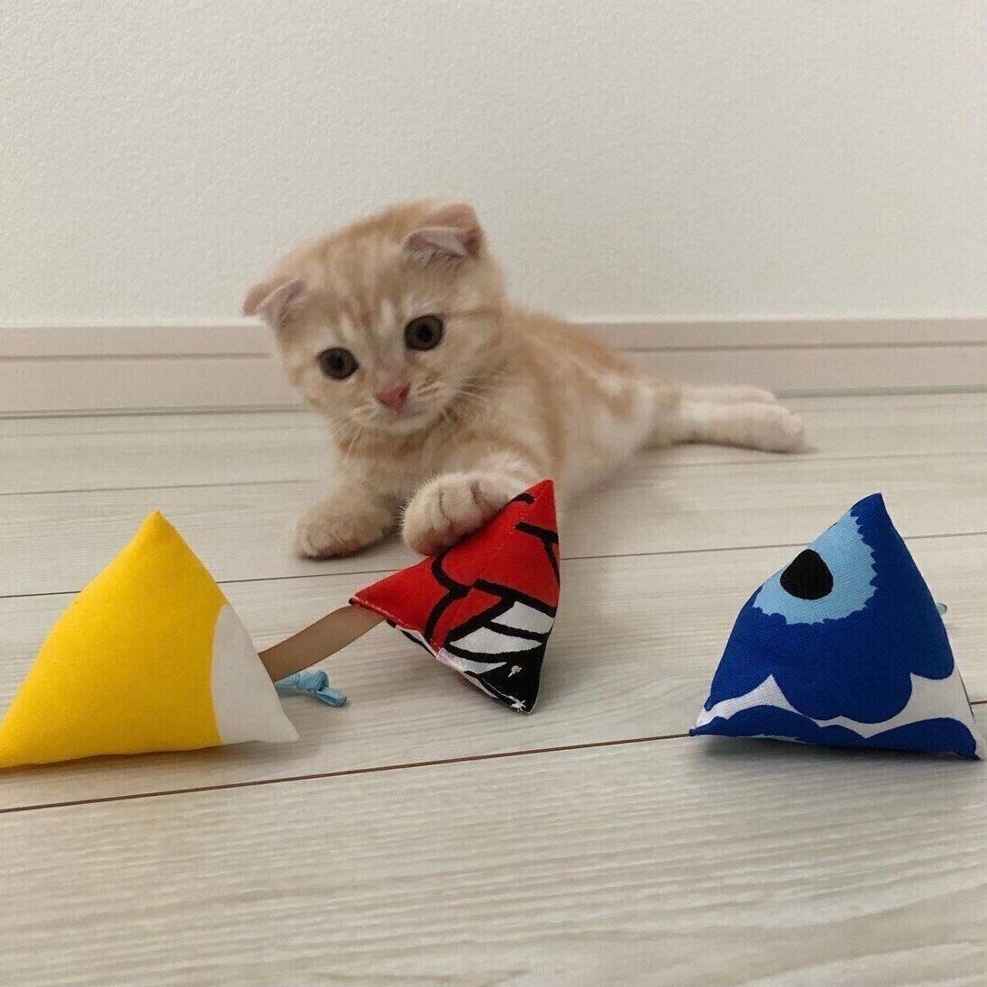 ねこびしで遊ぶLeoくん