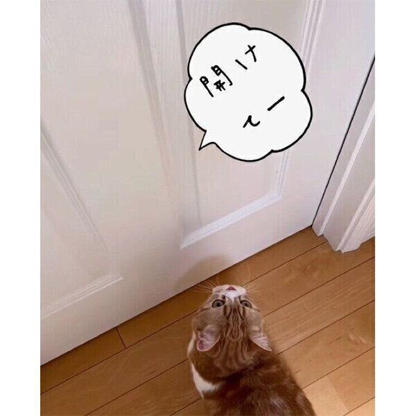 ドアの前で待つころんちゃん