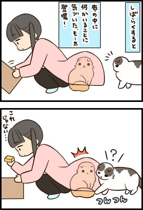 「もふもふスコたん」24話目