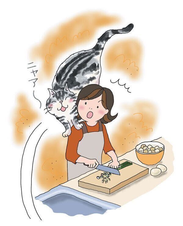 イラスト／吉沢深雪