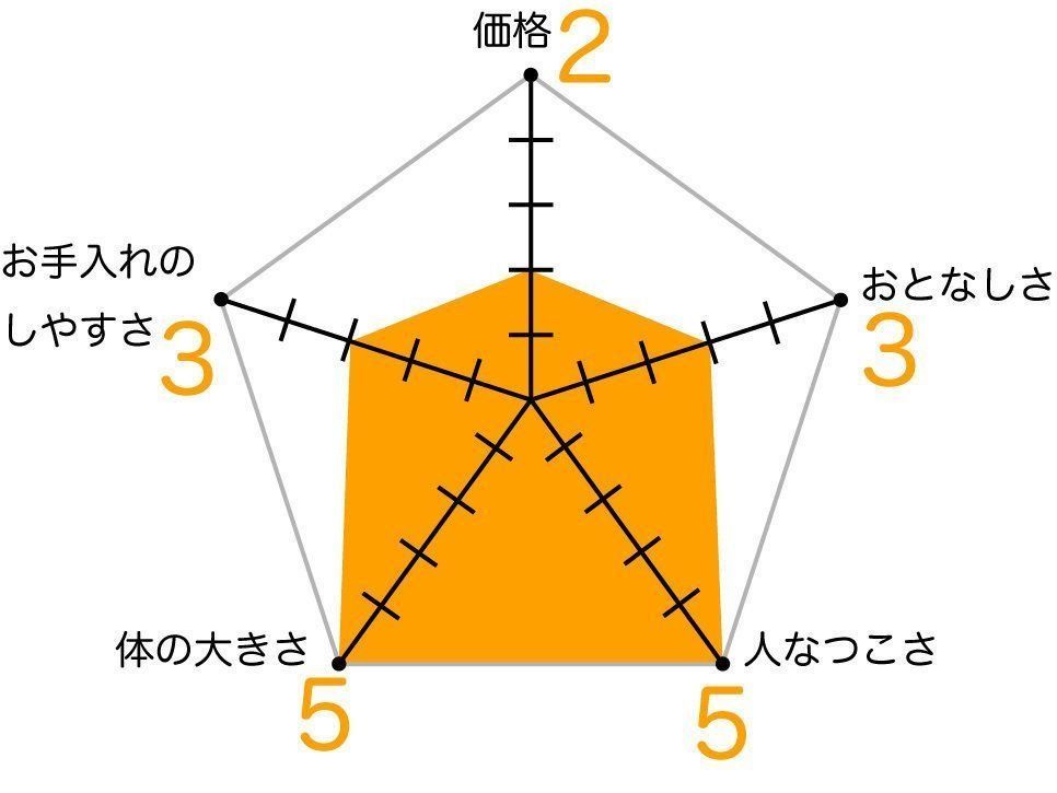 メインクーンの特徴と飼い方 可愛い画像いっぱい ねこのきもち 猫図鑑 ねこのきもちweb Magazine
