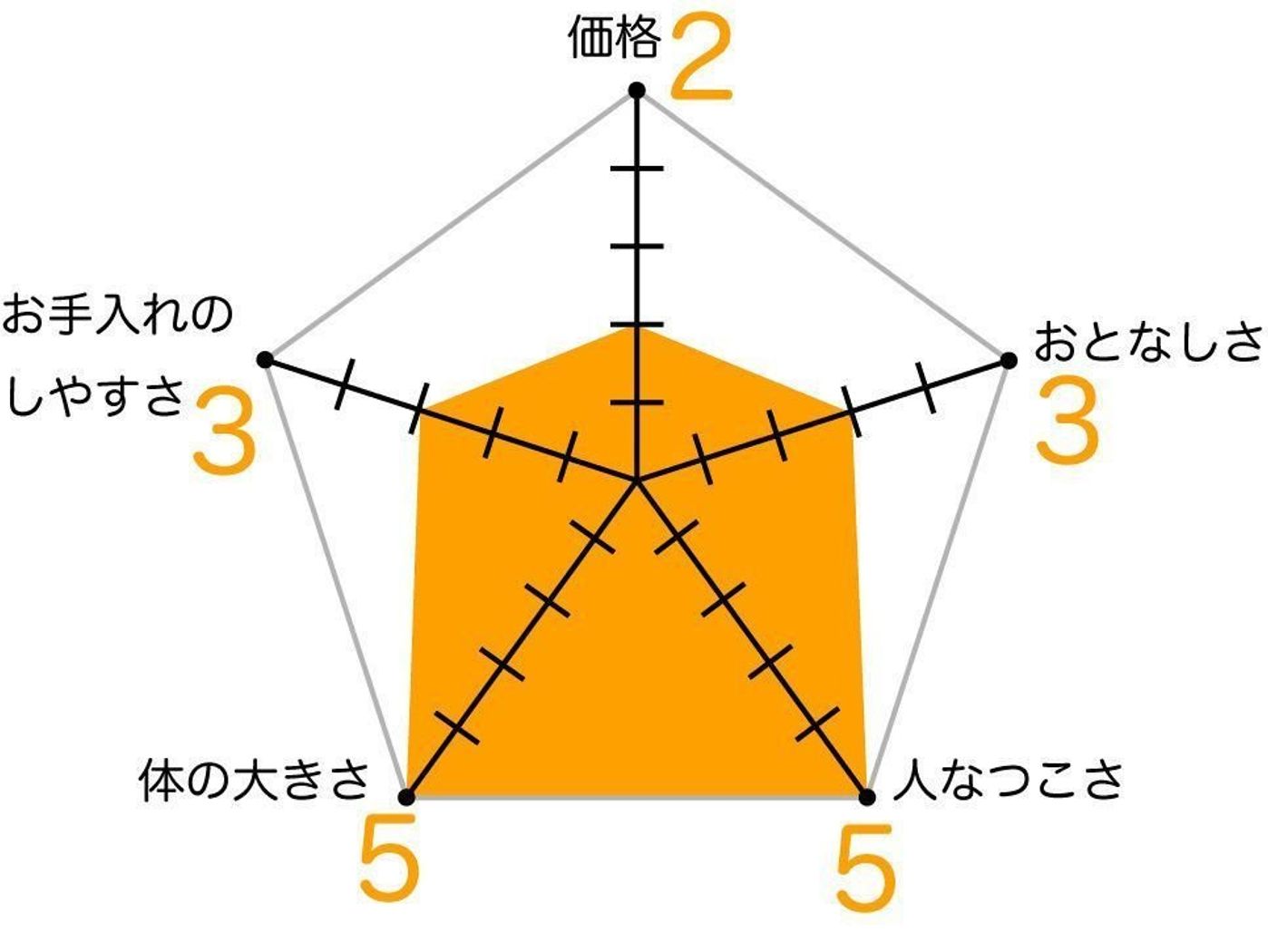 メインクーンの特徴と飼い方 可愛い画像いっぱい ねこのきもち 猫図鑑 ねこのきもちweb Magazine メインクーンの特徴と飼い方 可愛い画像いっぱい ねこのきもち 猫図鑑 ねこのきもちweb Magazine