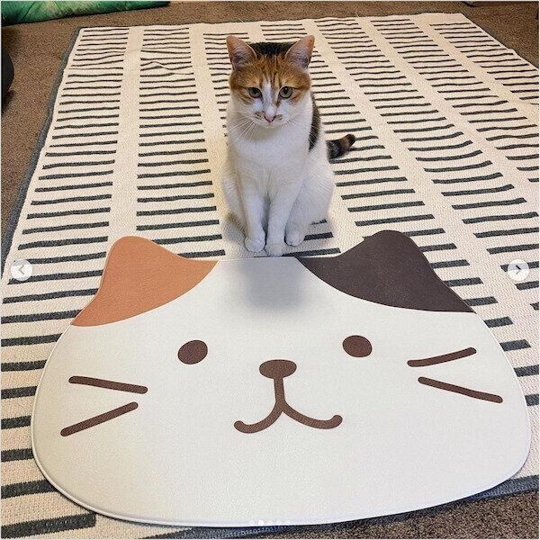 「ふくふくにゃんこ」グッズ