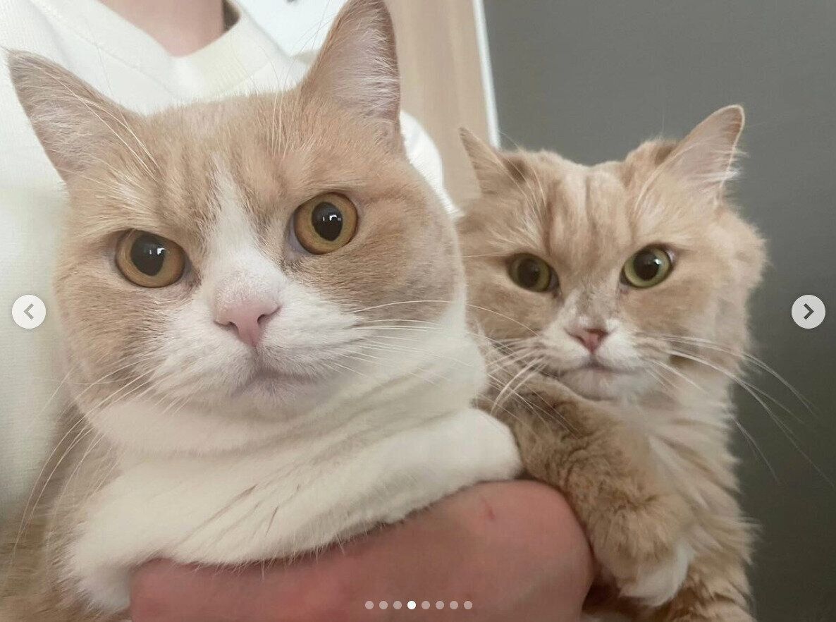 みりんちゃんとぽんずちゃん