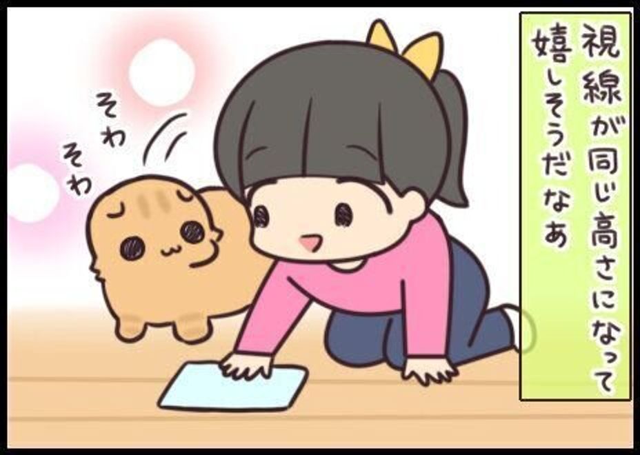 何してるの 視線の高さが同じになってご機嫌な猫 連載 もふもふスコたん 4 ねこのきもちweb Magazine 何してるの 視線の高さが同じになってご機嫌な猫 連載 もふもふスコたん 4 ねこのきもちweb Magazine