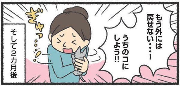 2匹目の猫を迎える前に知っておきたいこと