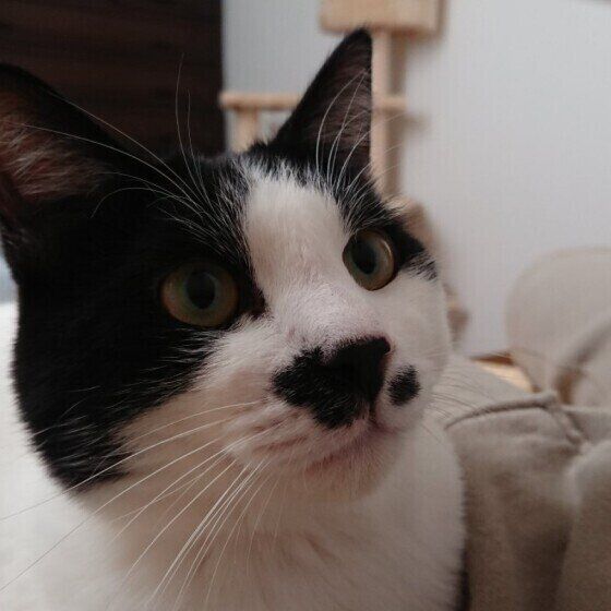 こちらをみつめる海大くん