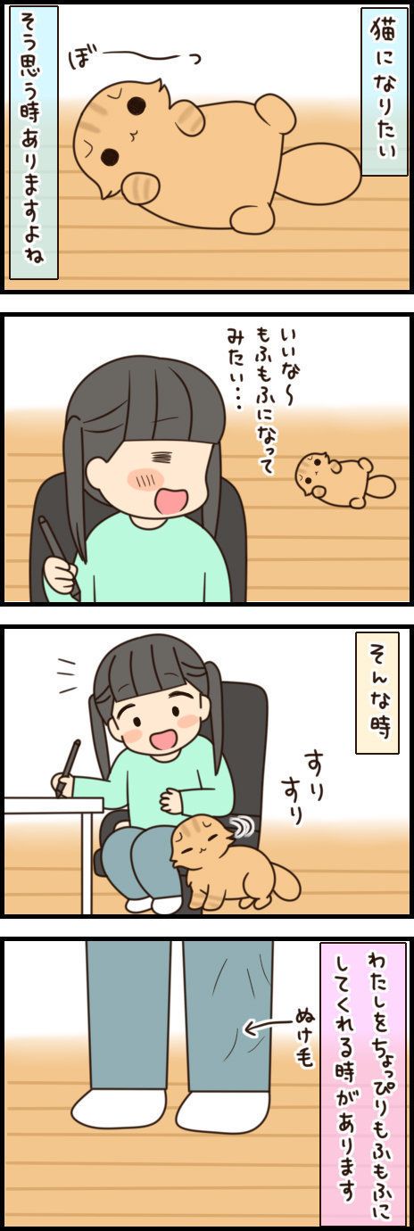 「もふもふスコたん」vol.36