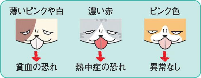 イラスト／河南好美さん