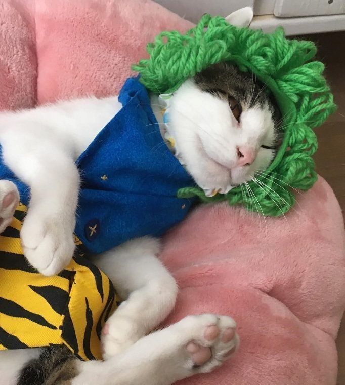 青鬼よつばくん