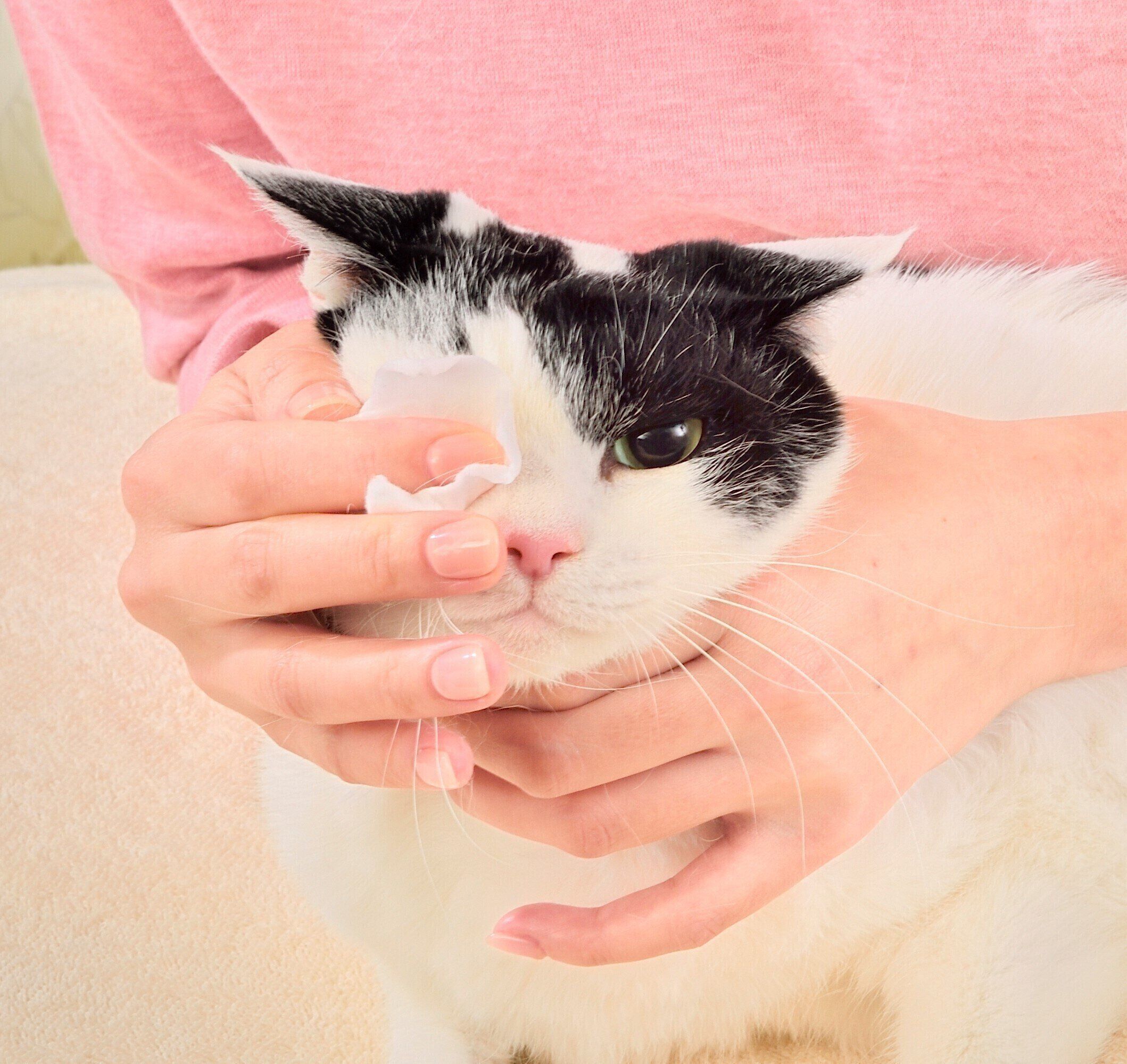 撮影／佐藤正之