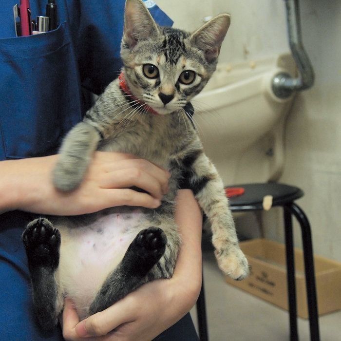 写真提供／一般財団法人クリステル・ヴィ・アンサンブル