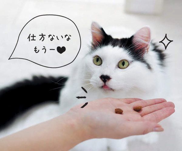 猫のサイレントニャーとは