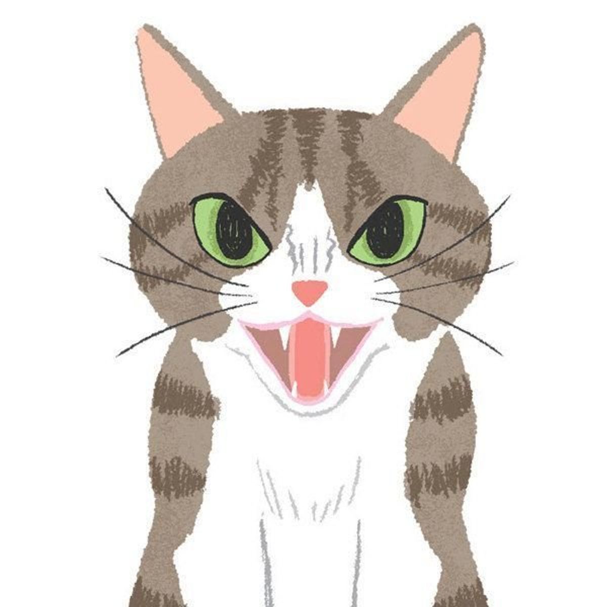 愛猫がいきなり飼い主に攻撃する 激怒症候群 見分け方4つ ねこのきもちweb Magazine 愛猫がいきなり飼い主に攻撃する 激怒症候群 見分け方4つ ねこのきもちweb Magazine