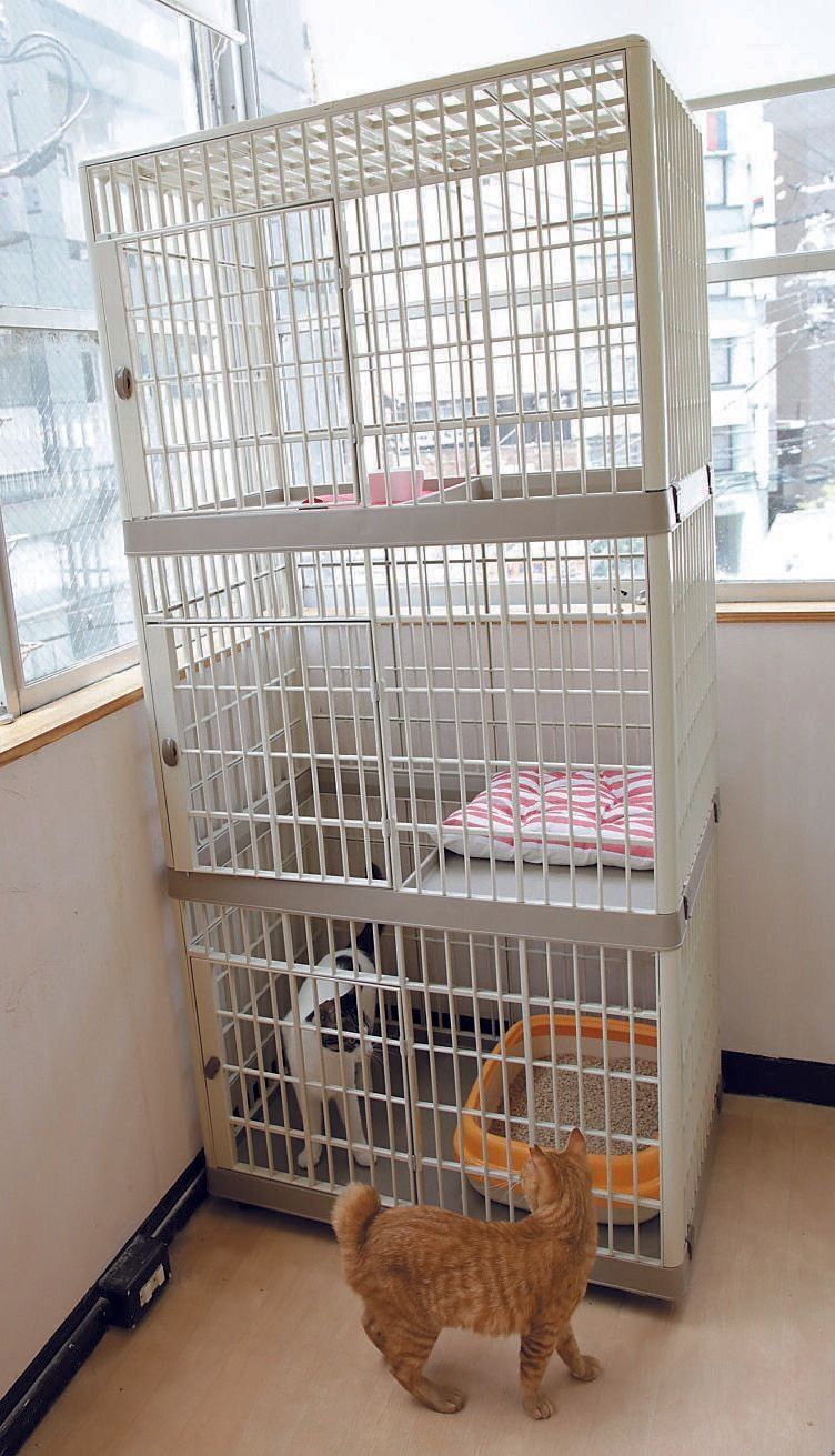 撮影／尾崎たまき