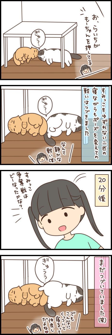 もふもふスコたん 32話目