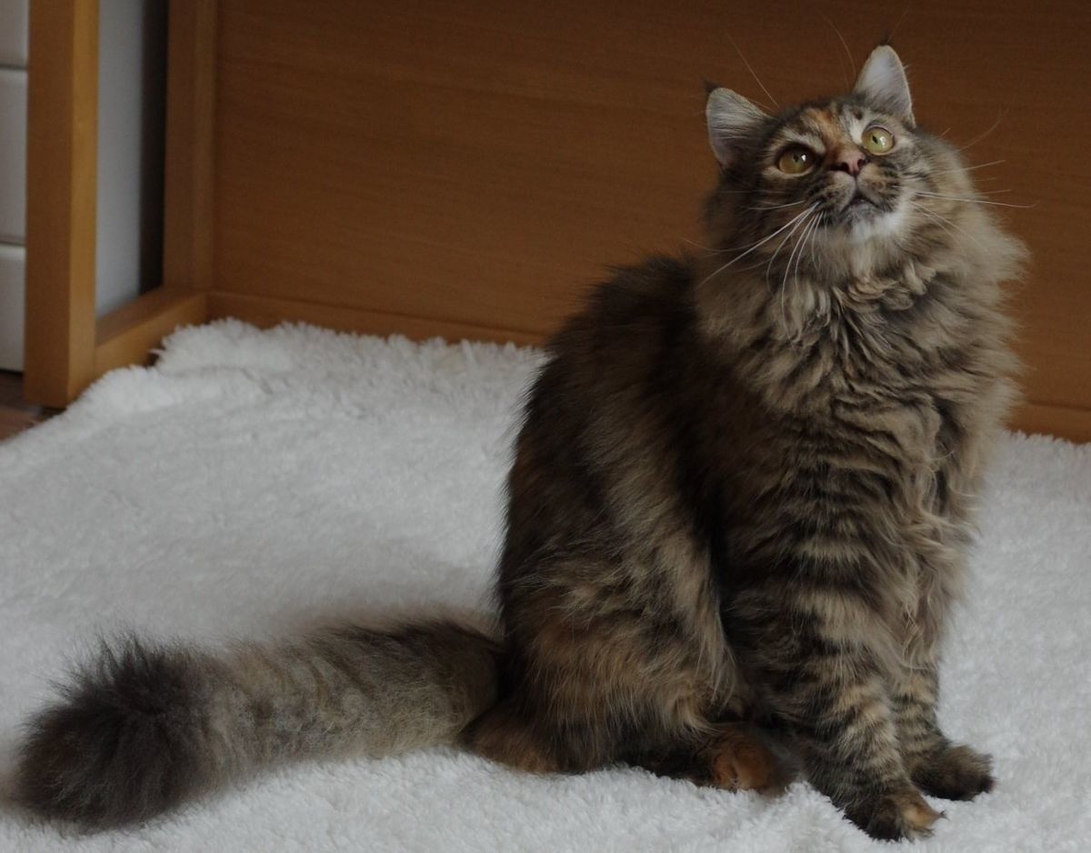 撮影／石原さくら