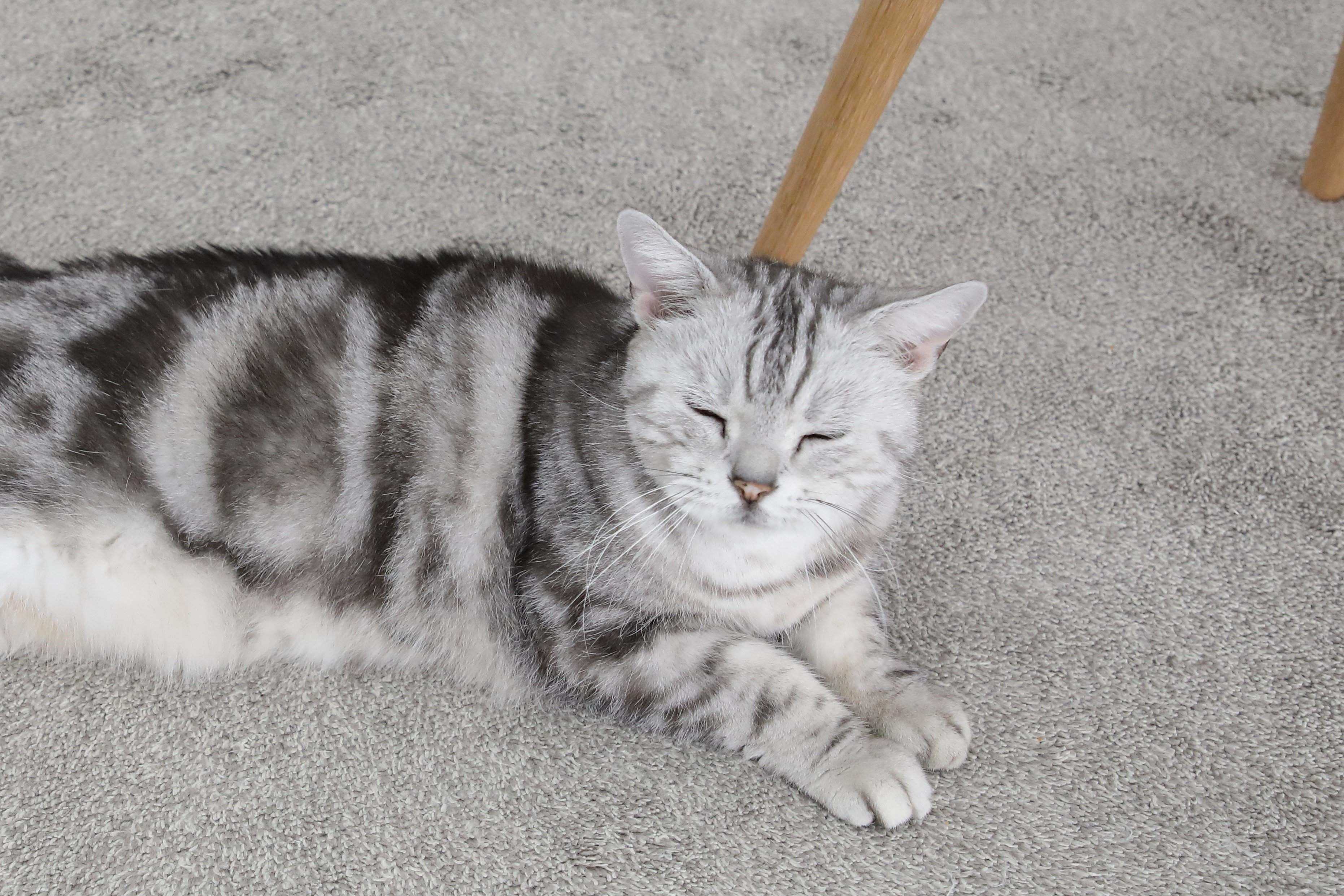 撮影／尾﨑たまき