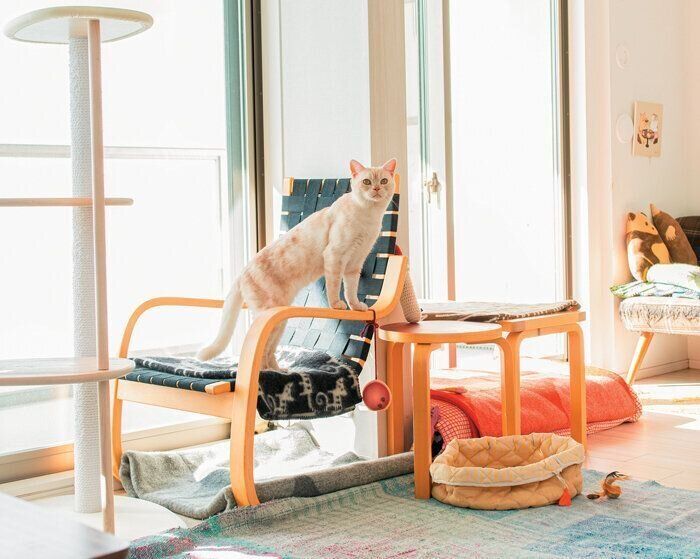 猫グッズが置かれた窓辺スペース