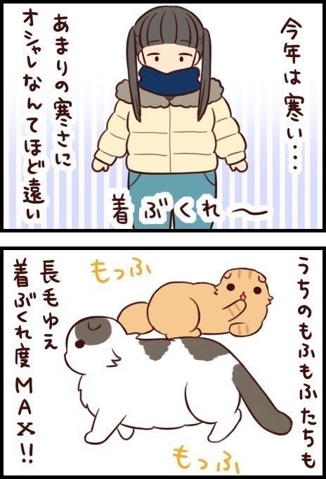 「もふもふスコたん」vol.6