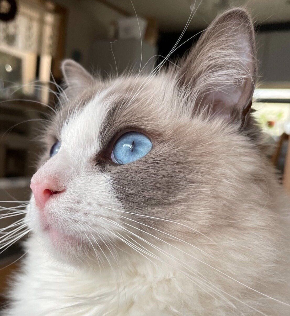 1才3カ月頃のジニくん