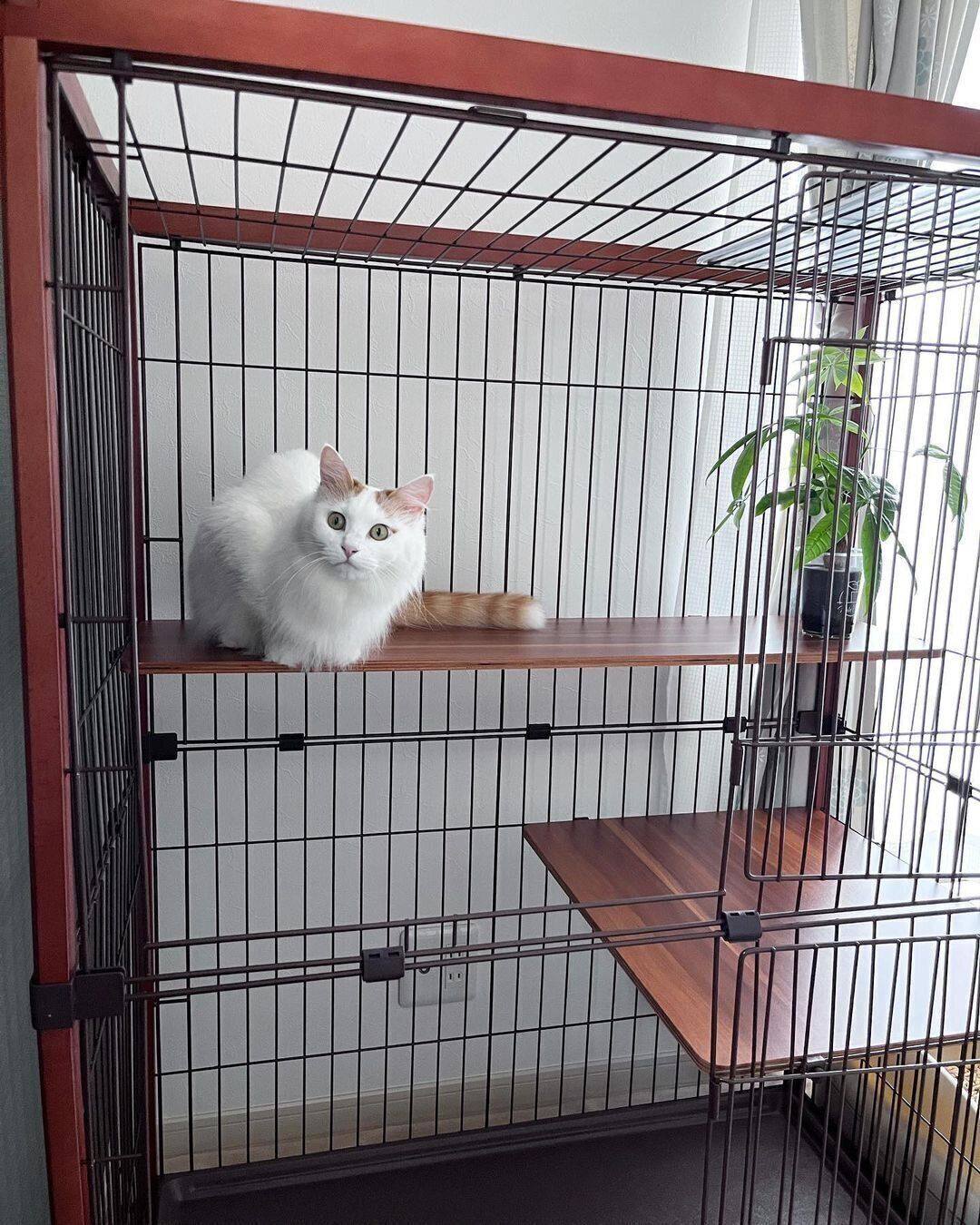 木目が素敵なかりんちゃんのケージ