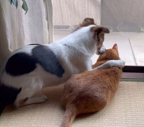 肩を組んでターコロくんに耳打ちする？アグちゃん