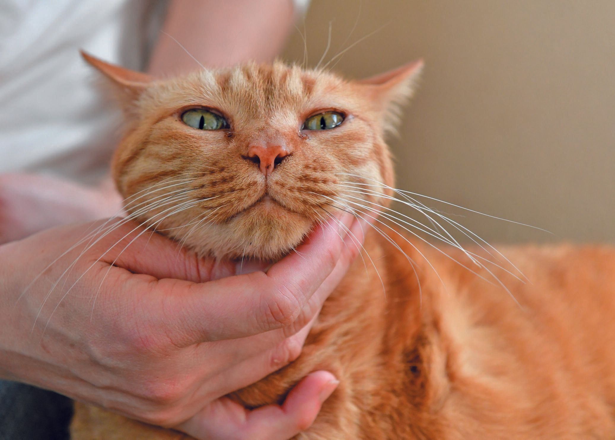 撮影／Akimasa Harada