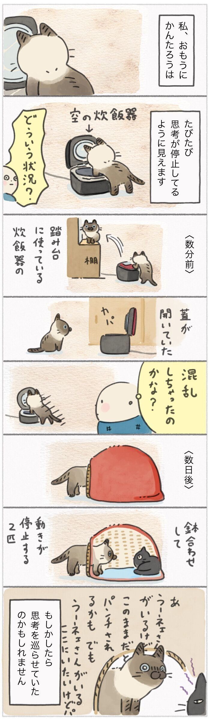 「ねこ連れ草」307話め