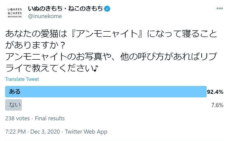 「アンモニャイト」アンケートの結果