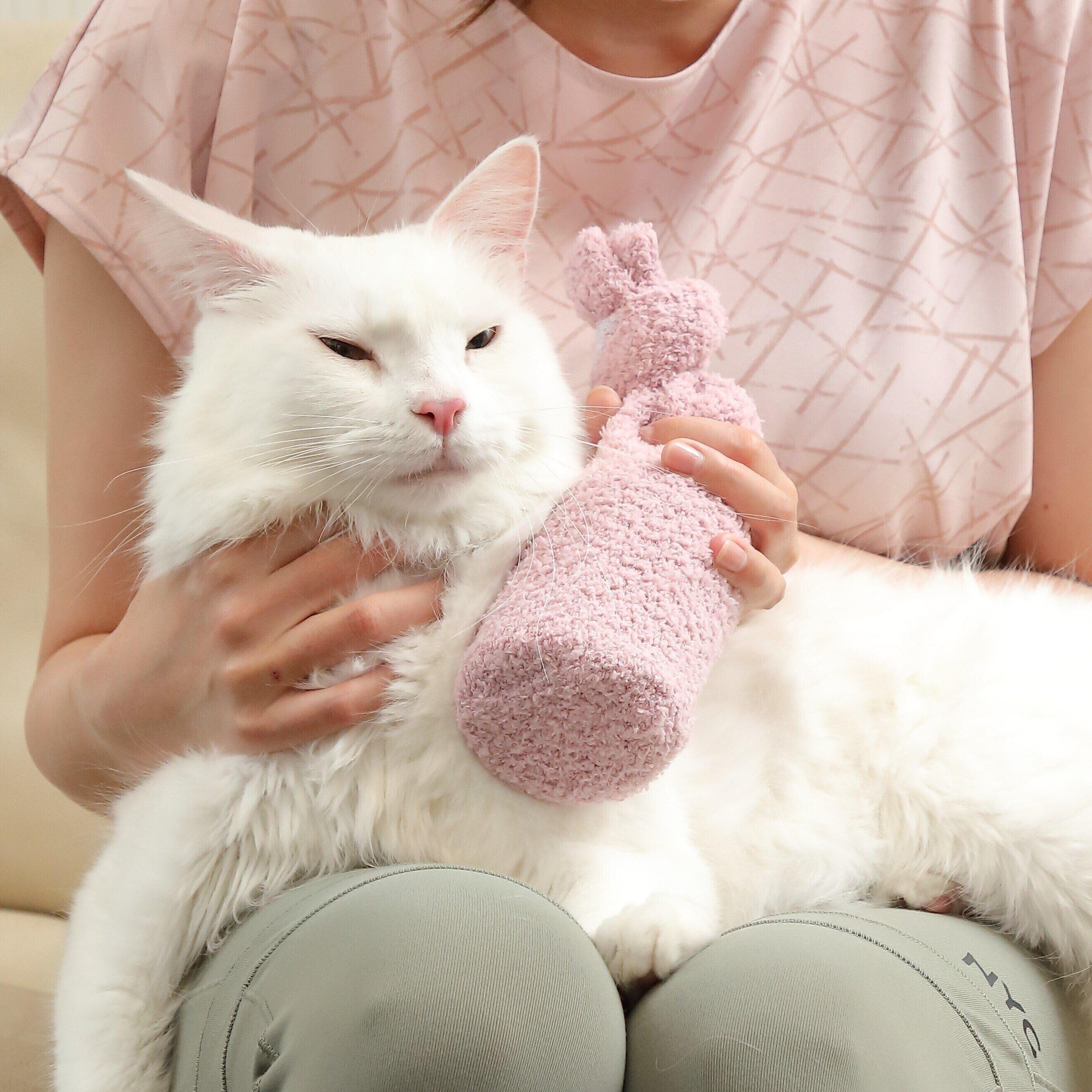 撮影／尾﨑たまき