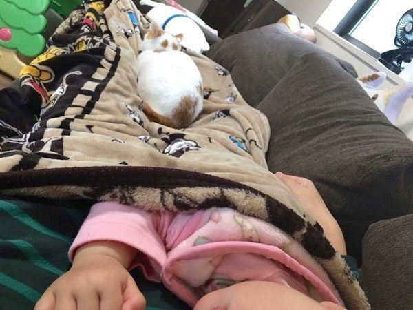 背中を丸めて眠るむぎちゃん