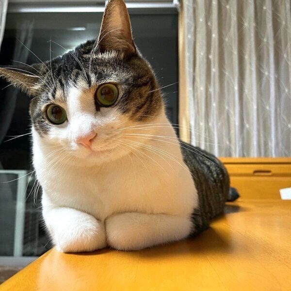 くつろぐソラくん