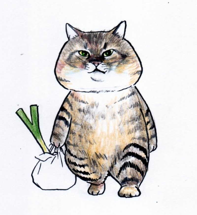 つしま、買い物に行く