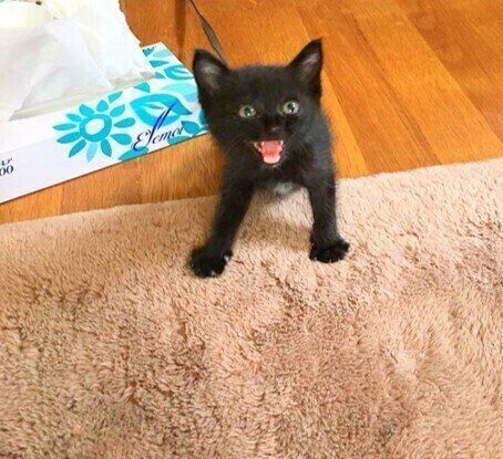 口を大きく開けるしげるくん