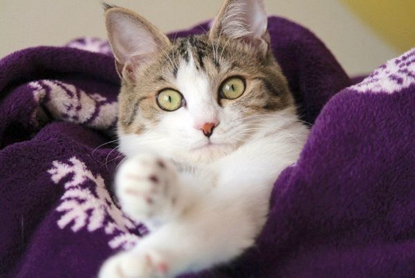 くつろぐなるちゃん