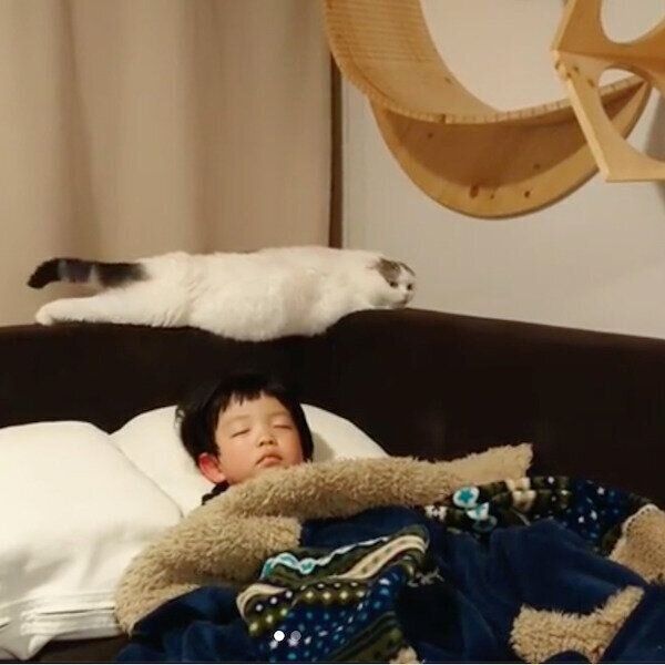 寝落ちした次男くんとソファでくつろぐライくん