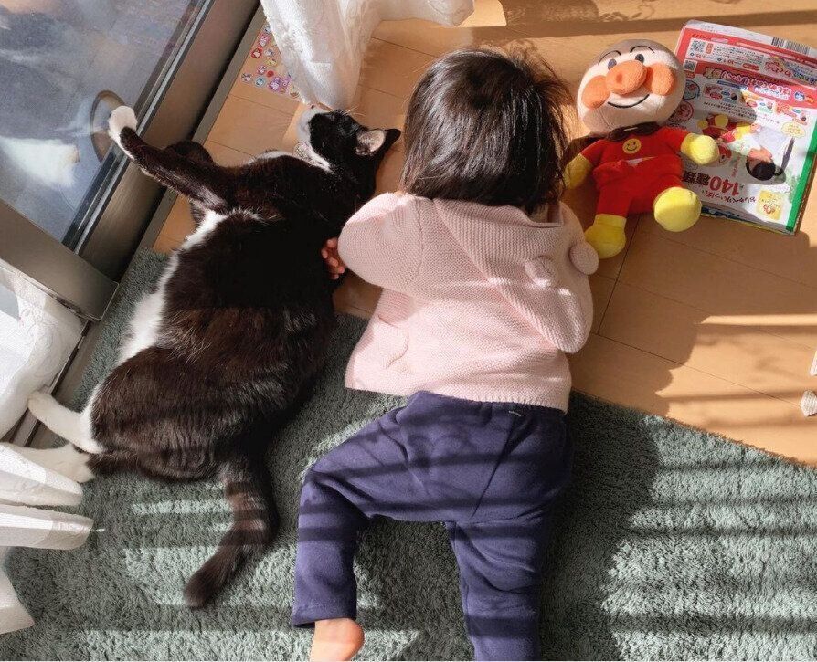 一緒に日向ぼっこするクロニーニョとお豆ちゃん