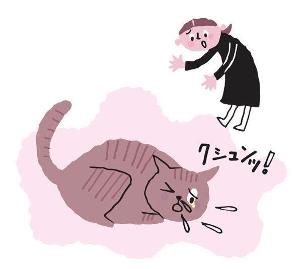 クシャミをする猫