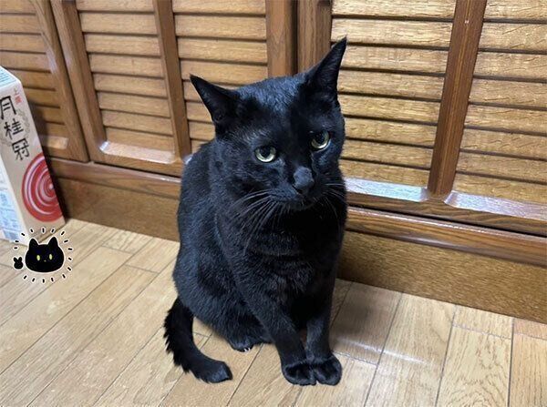 飼い主さんのことを待つろんさん