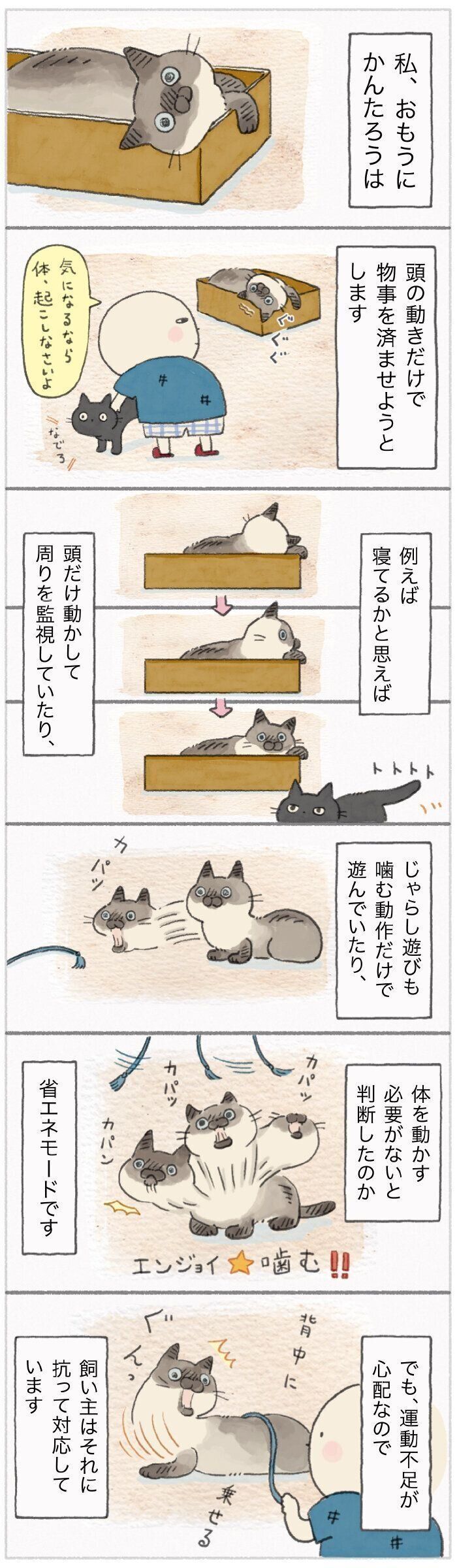 「ねこ連れ草」139話め