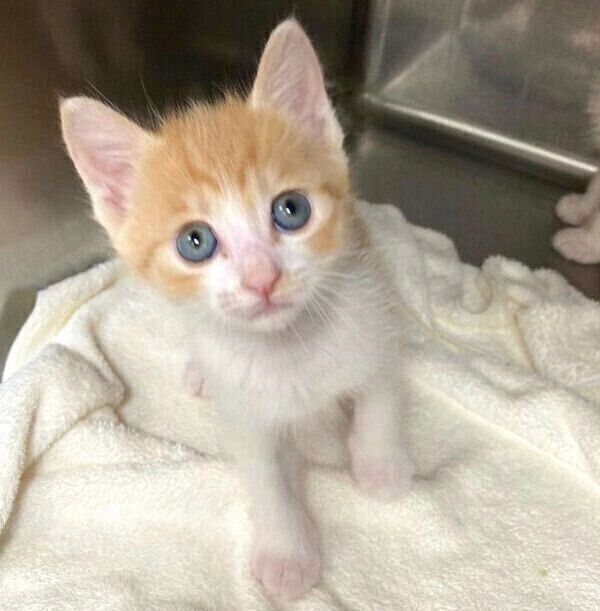 保護当時のポットくん