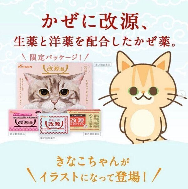 改源のイラストになっているきなこちゃん