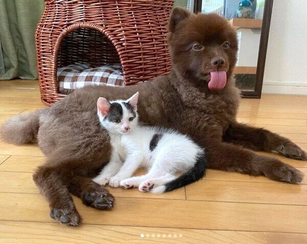 寄り添うききちくんと、くまくん